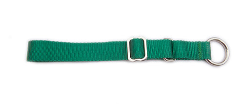 Semi-Slip Dog Collar - Green