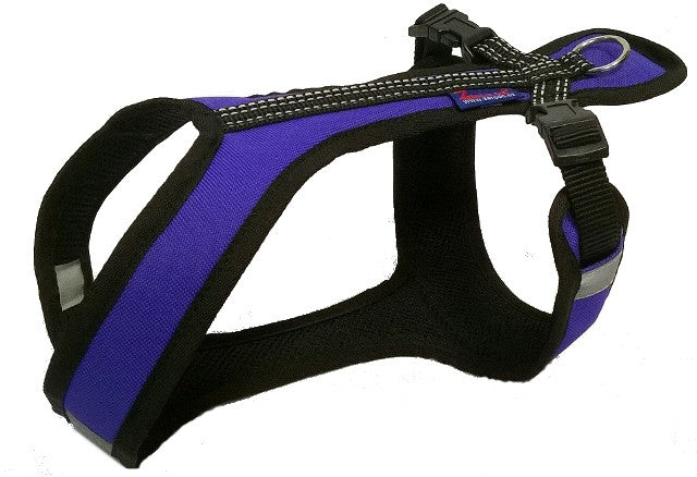 EuroShort Dog Harness Purple