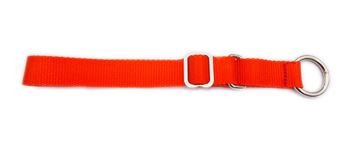 Semi-Slip Dog Collar - Orange