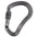 Boa Large Screwgate Carabiner (DMM)