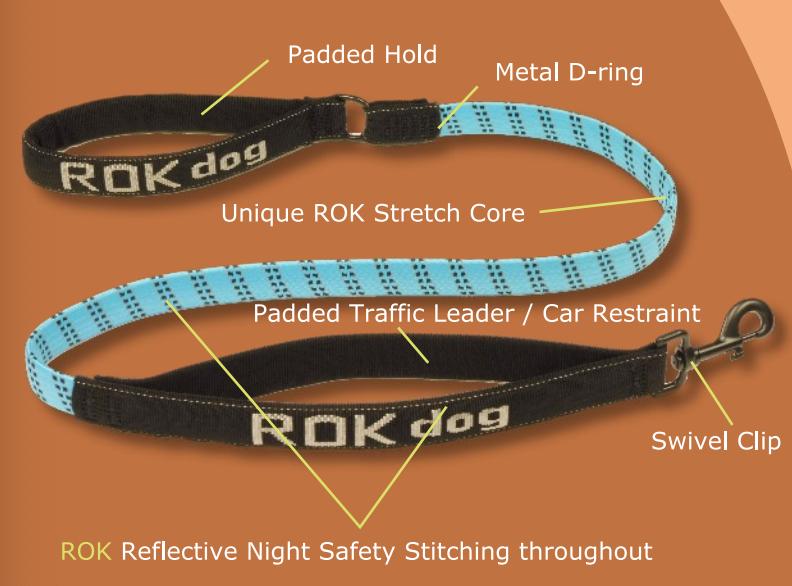 Stretchy top dog leash