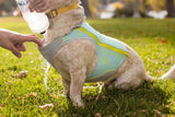 Swamp Cooler Zip™ Cooling Dog Vest (Ruffwear)