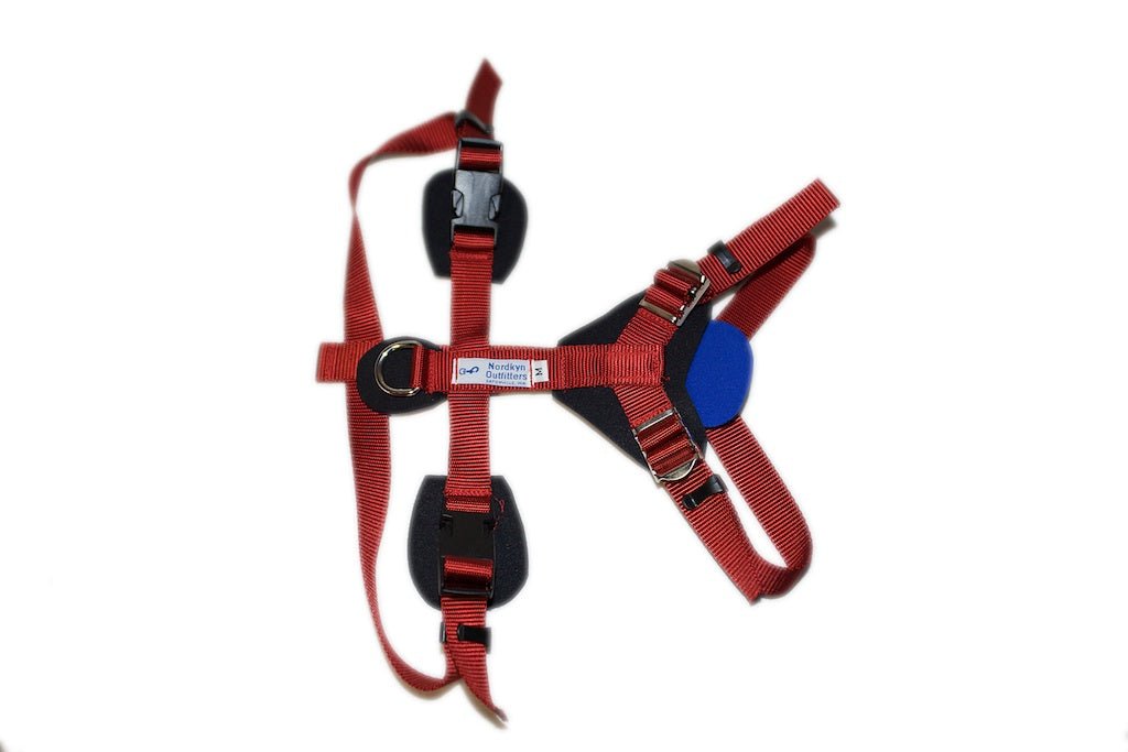 Adjustable Dog Walking Harness - SnowPaw Store - Nordkyn - Dog Collars, Leads, Belts