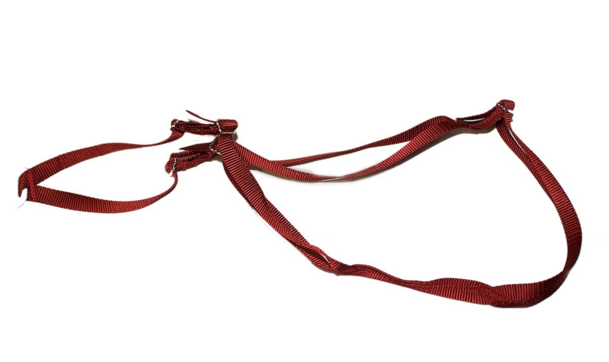 Adjustable Puppy Training Harness (Nordkyn) - SnowPaw Store - Nordkyn - Dog Harness