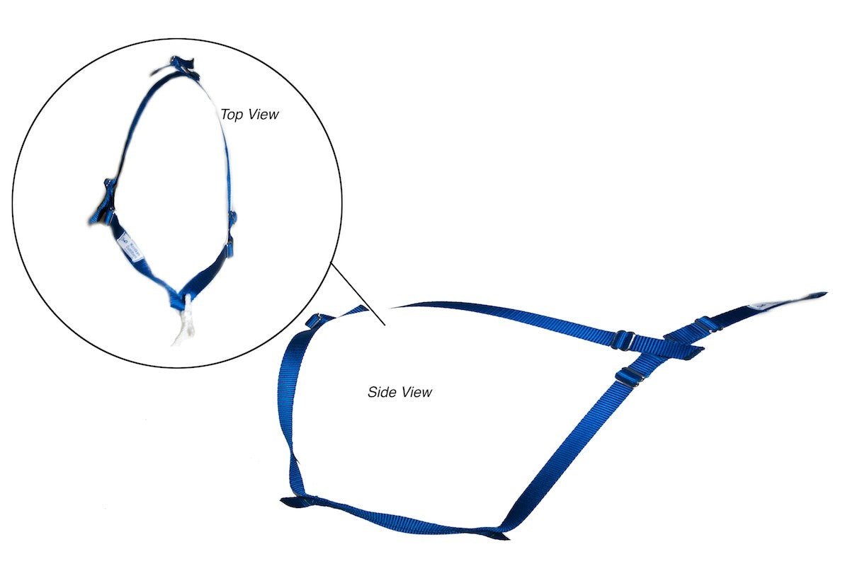 Adjustable Puppy Training Harness (Nordkyn) - SnowPaw Store - Nordkyn - Dog Harness