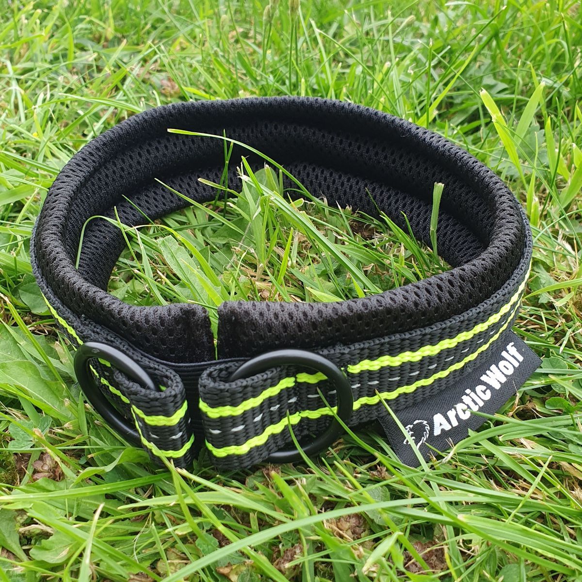 Adventure Collar (Arctic Wolf) - SnowPaw Store - Arctic Wolf - Dog Collars, Leads, Belts