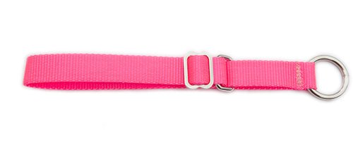 Alaskan Semi Slip Dog Collar - SnowPaw Store - Nordkyn - Dog Collars, Leads, Belts