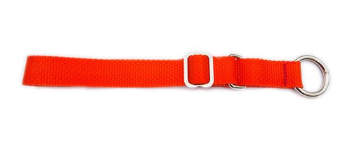 Alaskan Semi Slip Dog Collar - SnowPaw Store - Nordkyn - Dog Collars, Leads, Belts