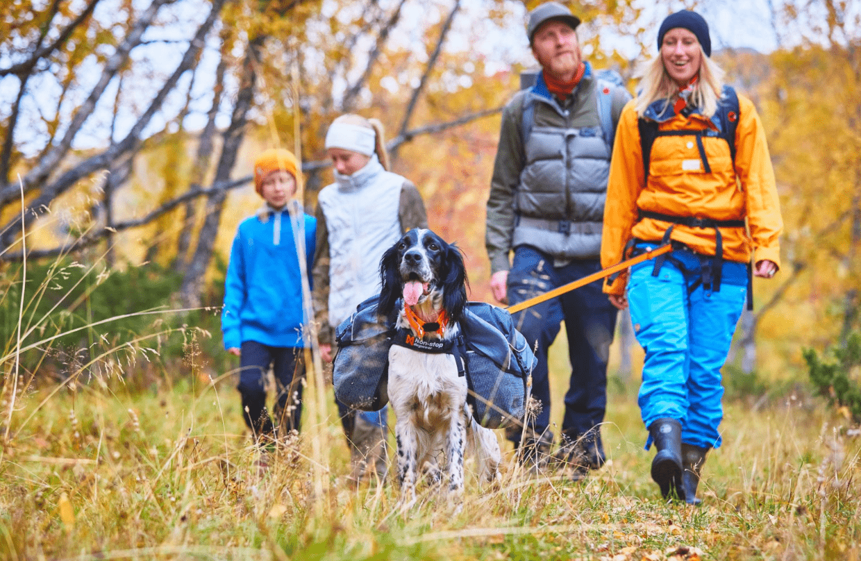 Amundsen Dog Backpack (Non - Stop Dogwear) - SnowPaw Store - Non - Stop Dogwear - Active Dog Gear