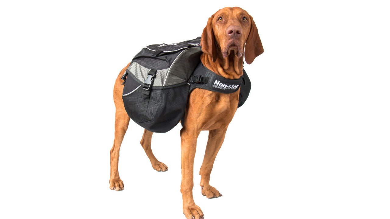 Amundsen Dog Backpack (Non - Stop Dogwear) - SnowPaw Store - Non - Stop Dogwear - Active Dog Gear