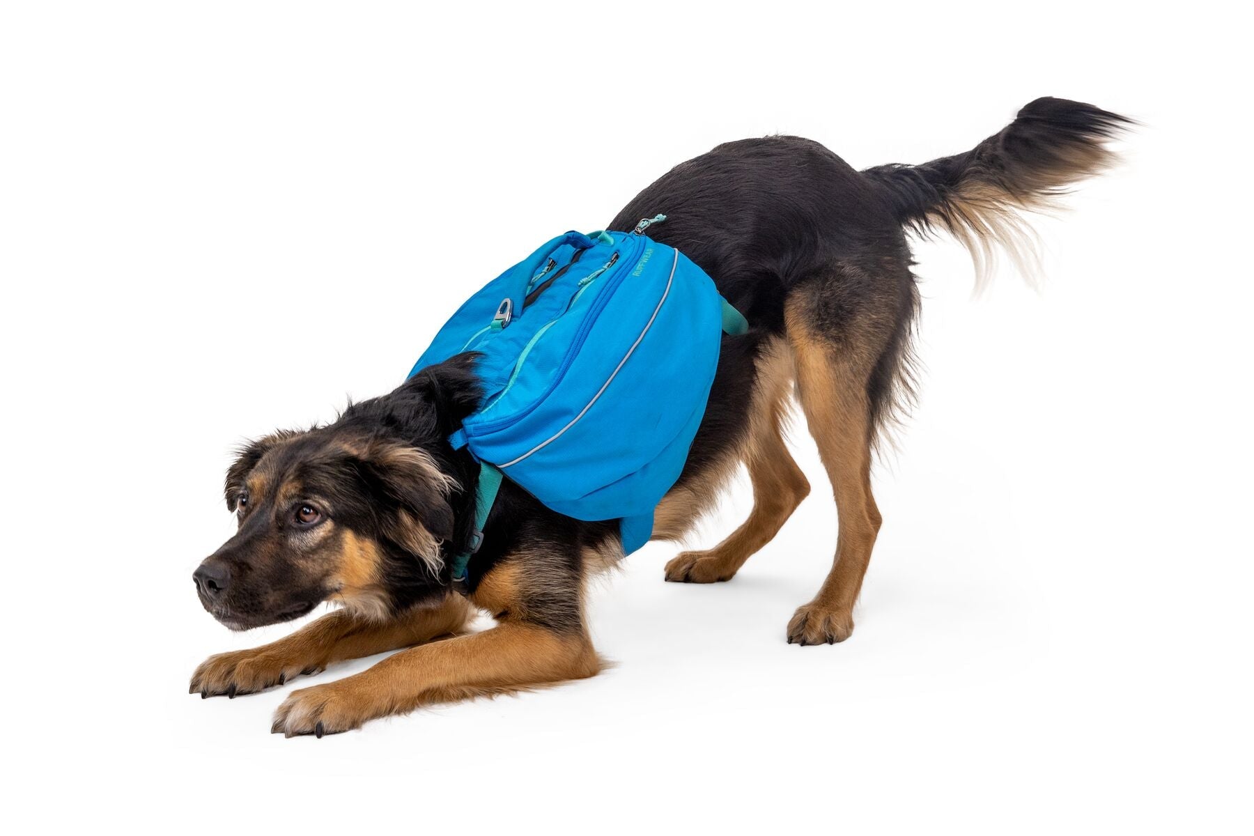 Approach™ Pack (Ruffwear) - SnowPaw Store - Ruffwear - Active Dog Gear