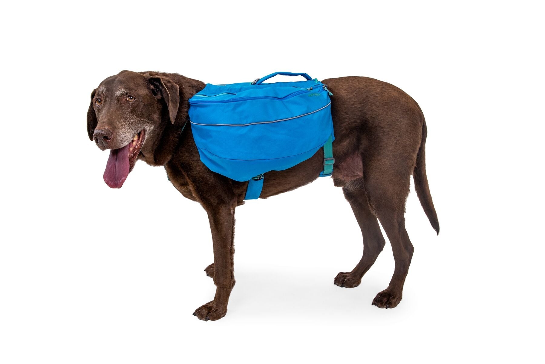 Approach™ Pack (Ruffwear) - SnowPaw Store - Ruffwear - Active Dog Gear