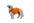 Approach™ Pack (Ruffwear) - SnowPaw Store - Ruffwear - Active Dog Gear