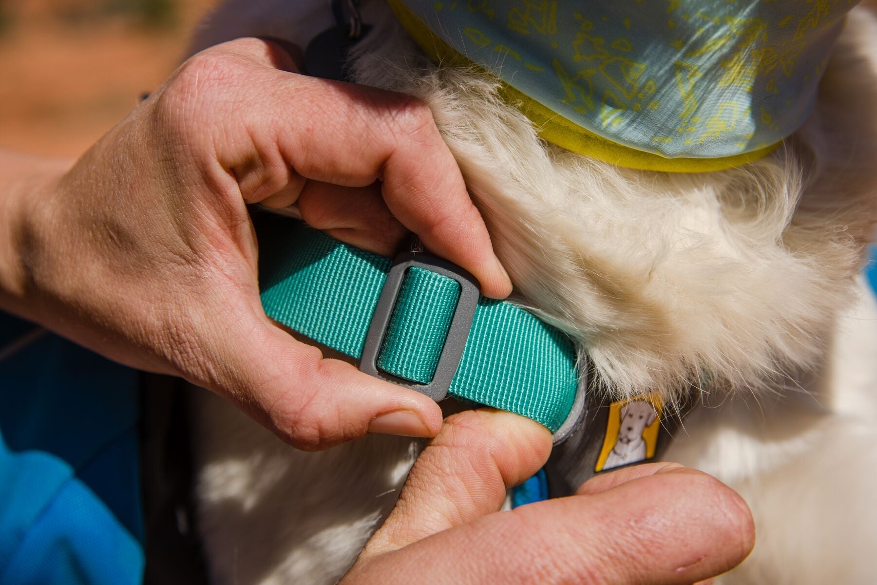 Approach™ Pack (Ruffwear) - SnowPaw Store - Ruffwear - Active Dog Gear