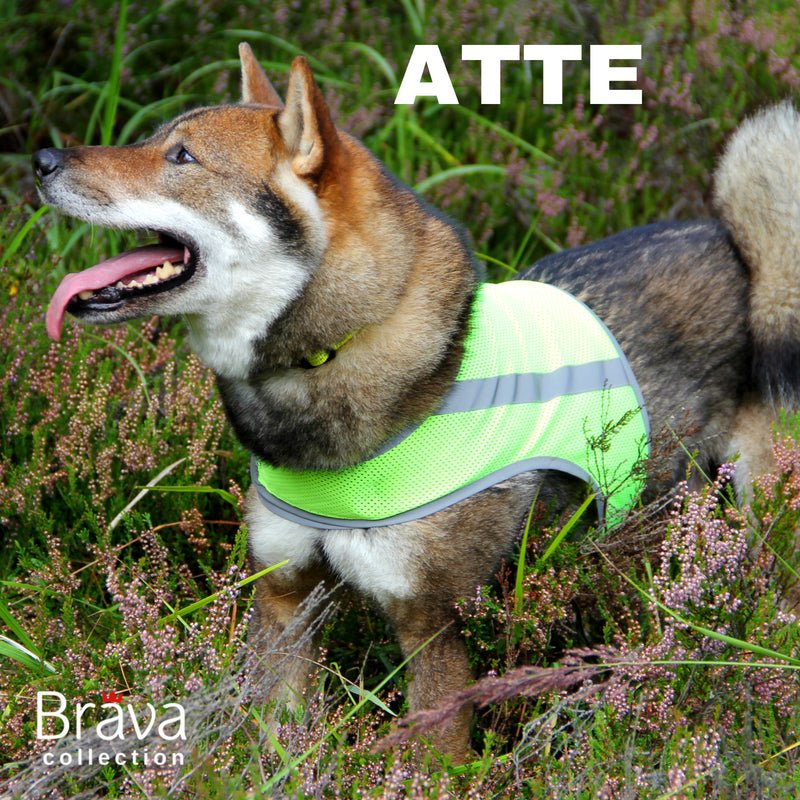 ATTE Attention Vest (Finnero) - SnowPaw Store - Finnero - Active Dog Gear