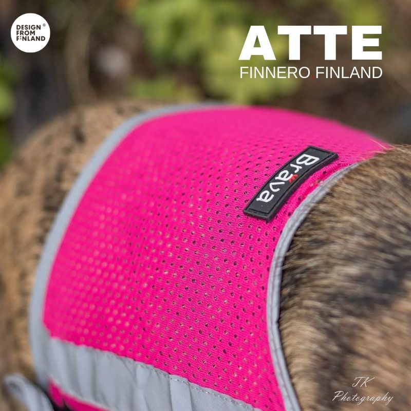 ATTE Attention Vest (Finnero) - SnowPaw Store - Finnero - Active Dog Gear