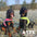 ATTE Attention Vest (Finnero) - SnowPaw Store - Finnero - Active Dog Gear