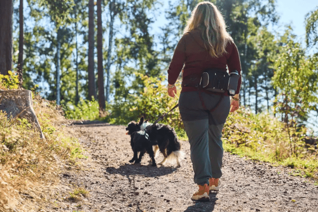 Belt Bag (Non - Stop Dogwear) - SnowPaw Store - Non - Stop Dogwear - Dog Collars, Leads, Belts