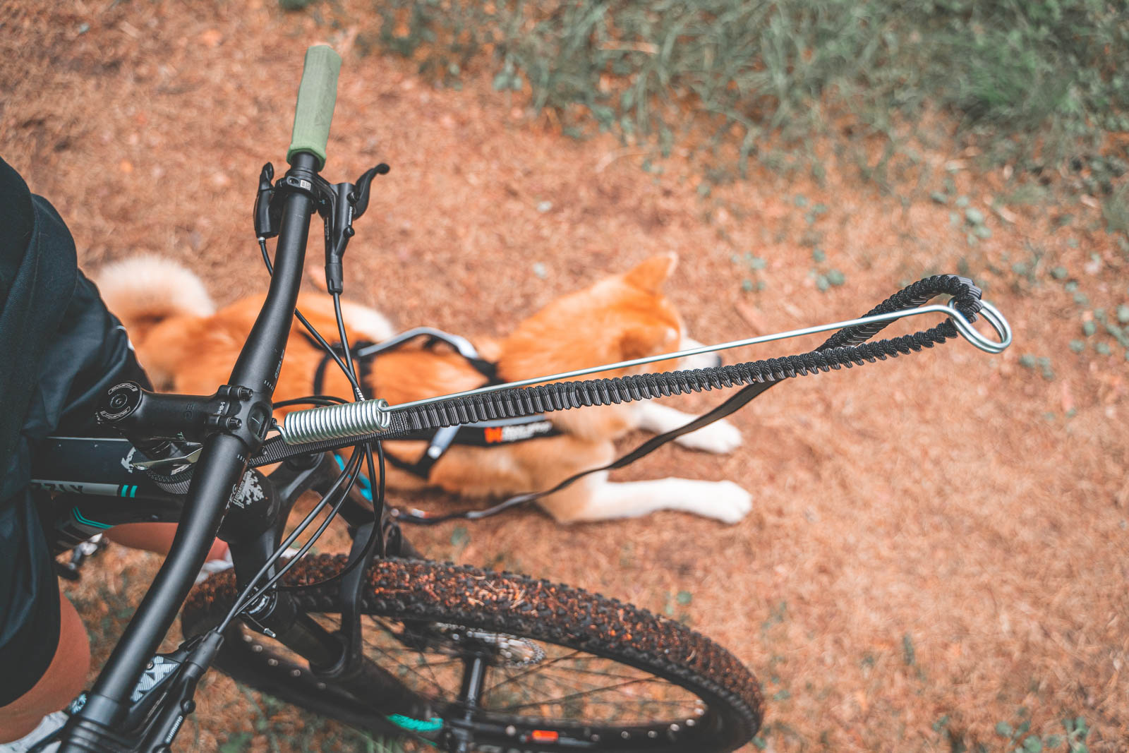 Bike Antenna (Non - Stop Dogwear) - SnowPaw Store - Non - Stop Dogwear - Bikejoring