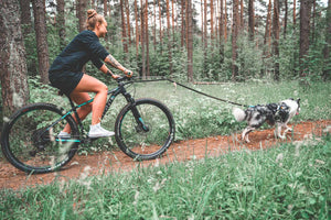 Non-stop Dogwear Bike Antenna Klickfix Package Dog Bike Adapters Mag Non-stop Dogwear Bike Antenna Klickfix Package Dog Bike Adapters Mag