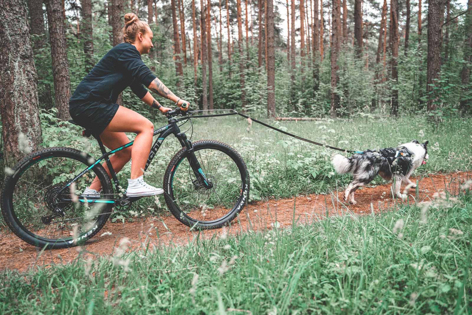 Bike Antenna (Non - Stop Dogwear) - SnowPaw Store - Non - Stop Dogwear - Bikejoring