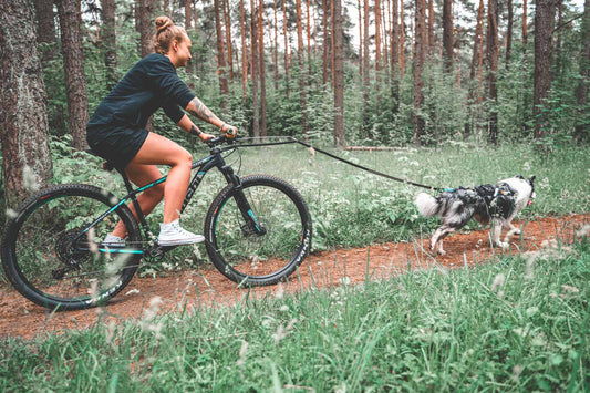 Bike Antenna (Non - Stop Dogwear) - SnowPaw Store - Non - Stop Dogwear - Bikejoring