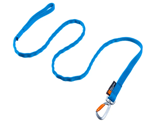 Bungee Leash (Non - Stop Dogwear) - SnowPaw Store - Non - Stop Dogwear - Dog Collars, Leads, Belts
