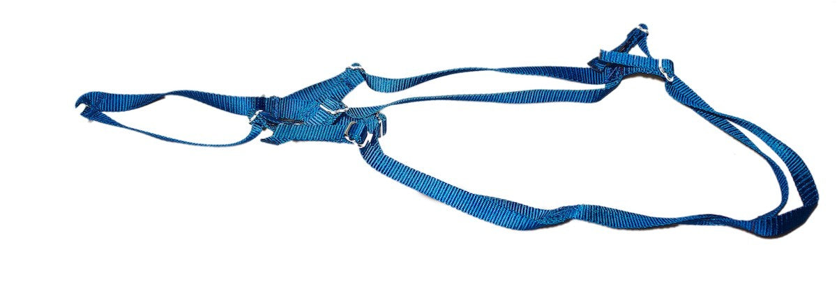 Adjustable Puppy Training X-Back Harness Blue