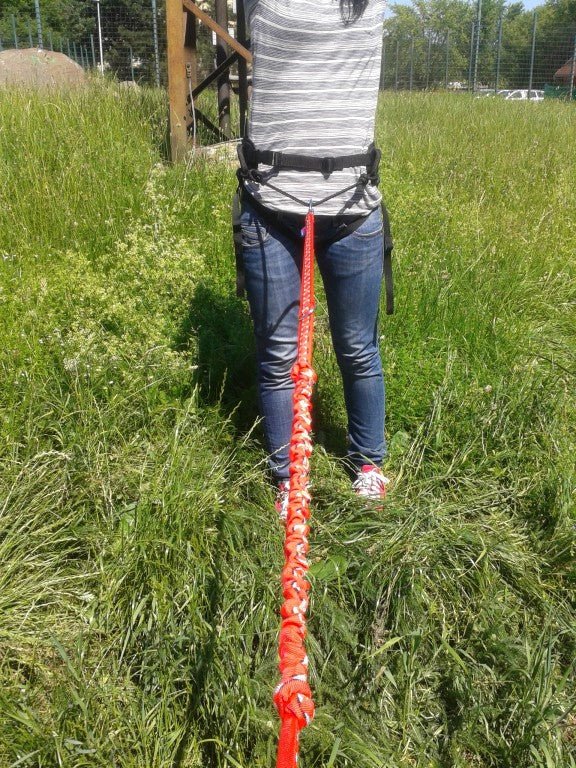 Canicross “Grizzly” Belt with Detachable Leg Loops (Zero DC) - SnowPaw Store - Zero DC - Canicross