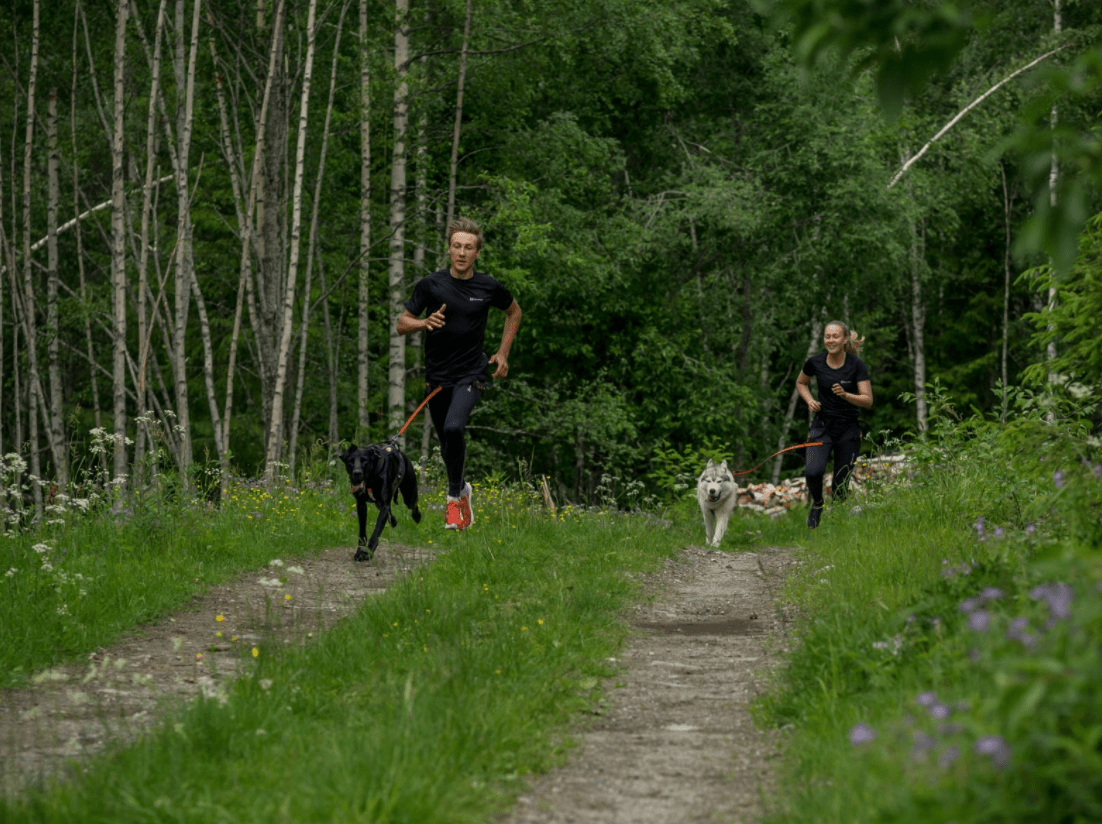 CaniX Long Tights (Non - Stop Dogwear) - SnowPaw Store - Non - Stop Dogwear - Active Human Gear