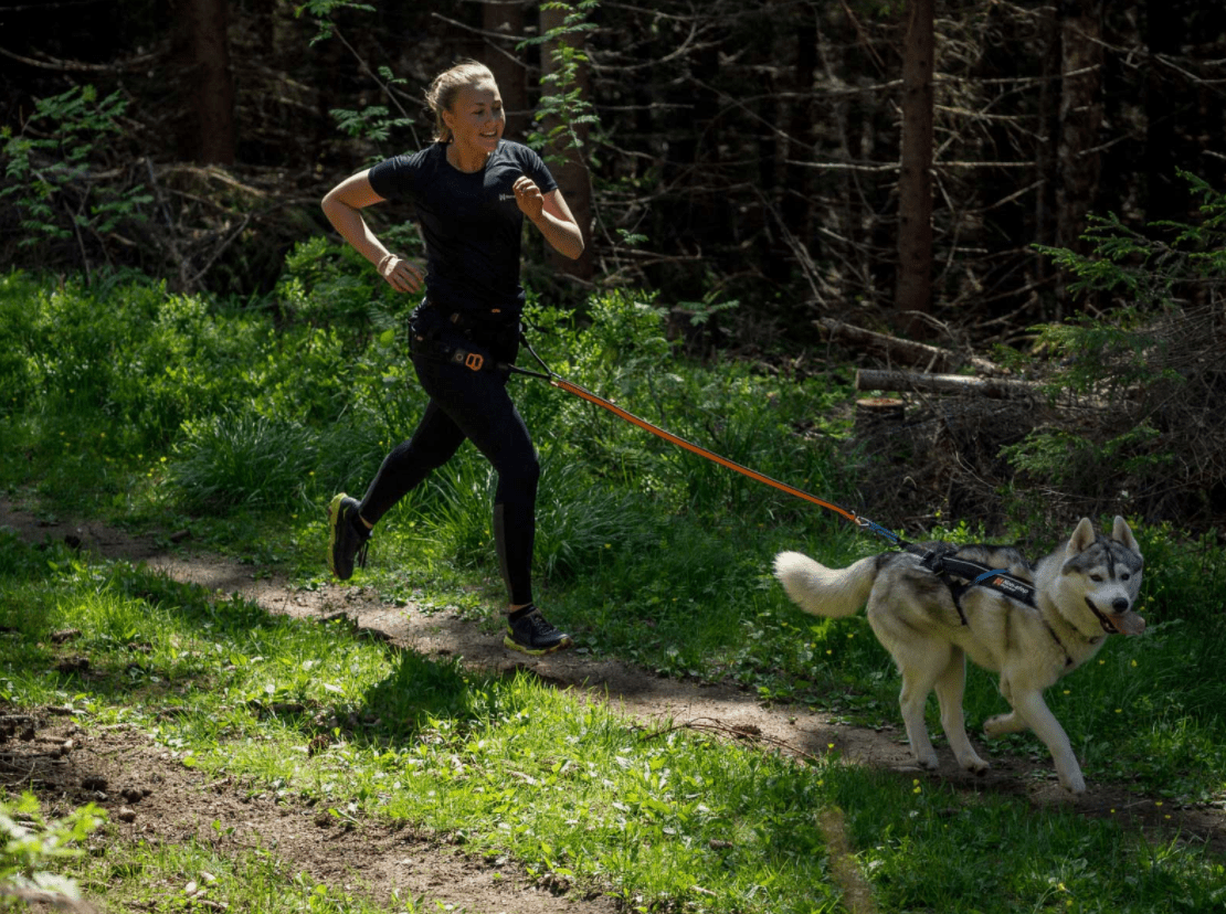 CaniX Long Tights (Non - Stop Dogwear) - SnowPaw Store - Non - Stop Dogwear - Active Human Gear