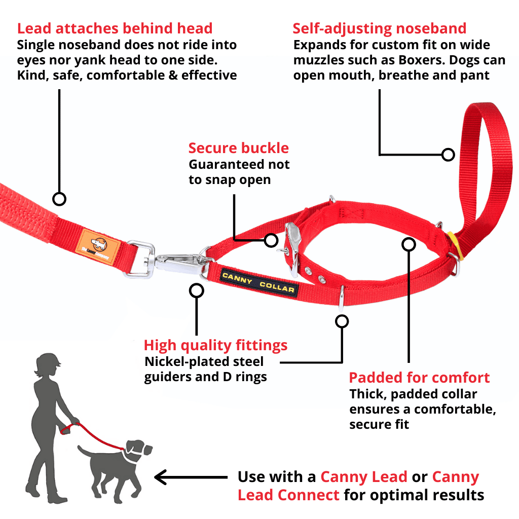 Canny Collar (Canny Company) - SnowPaw Store - Canny Company - Dog Collars