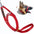 Canny Collar (Canny Company) - SnowPaw Store - Canny Company - Dog Collars