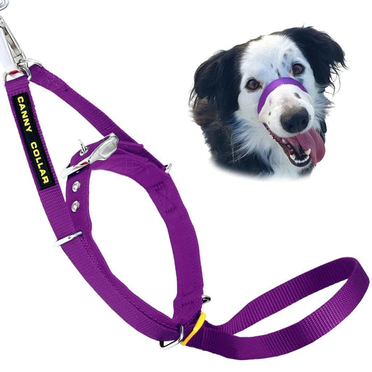 Canny Collar (Canny Company) - SnowPaw Store - Canny Company - Dog Collars
