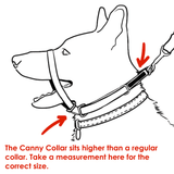 Canny Collar (Canny Company)