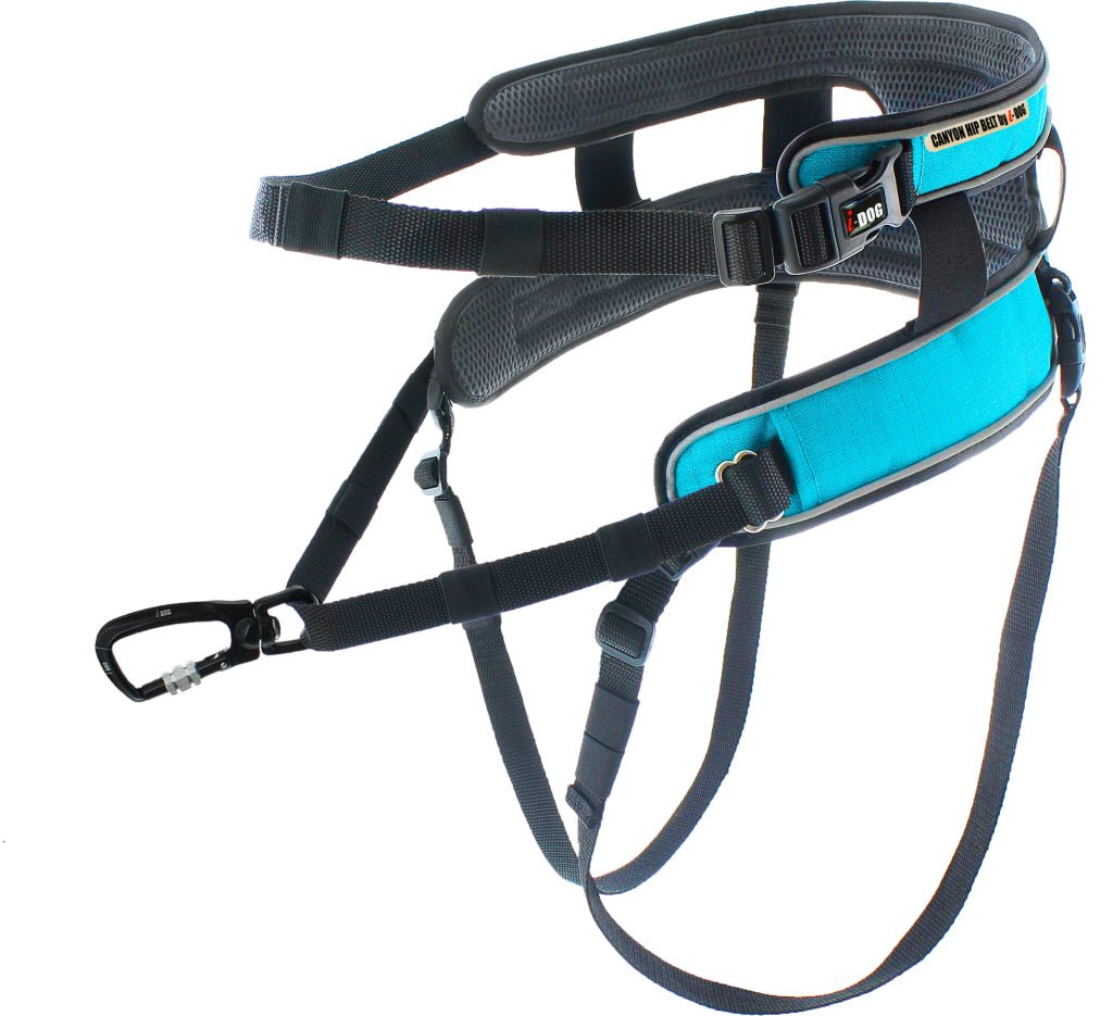 Canyon Running Belt (i - Dog) - SnowPaw Store - i - Dog - Canicross