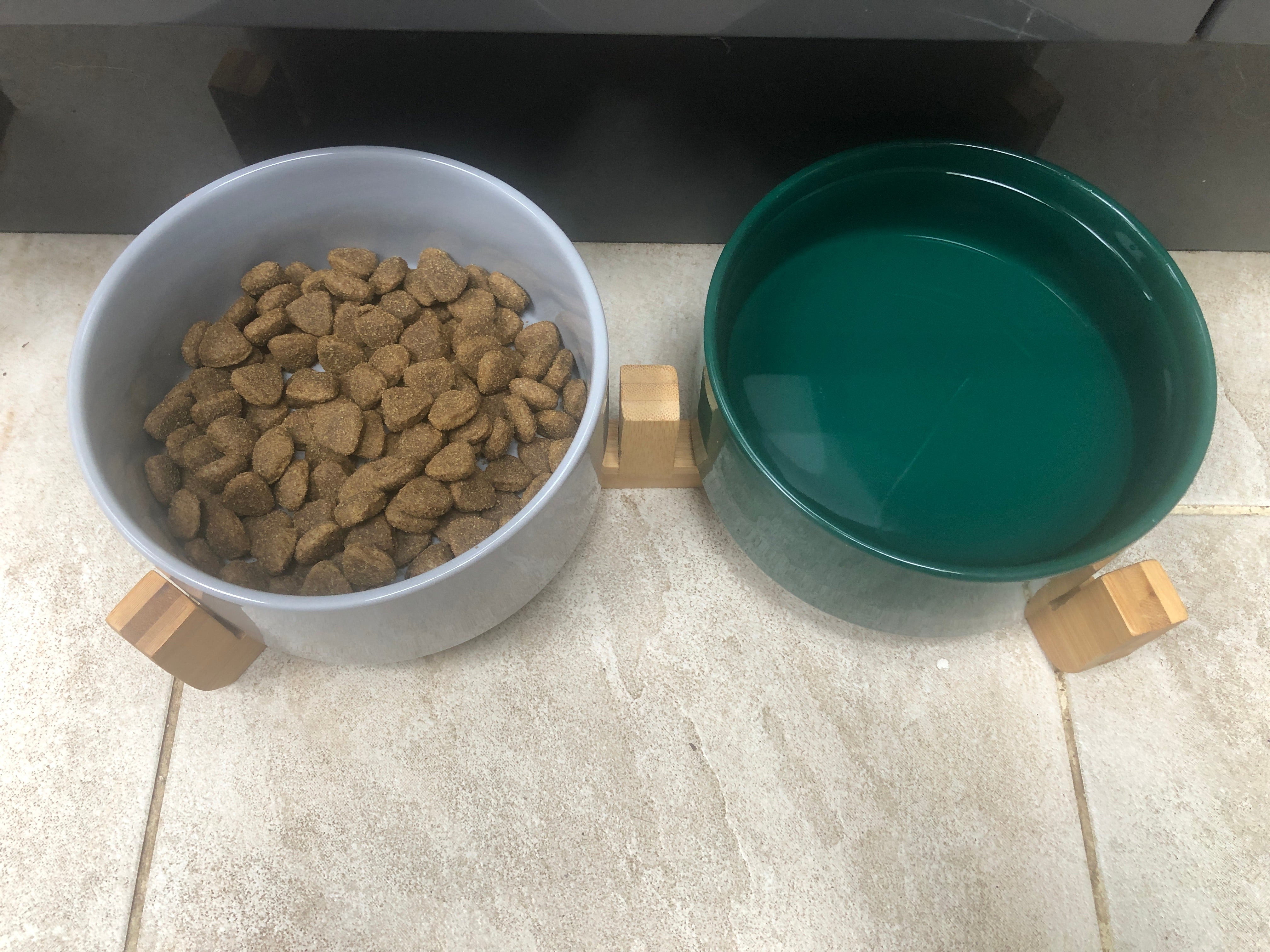 Ceramic Dog Bowl Set - SnowPaw Store - Pawtrekker - Food & Health