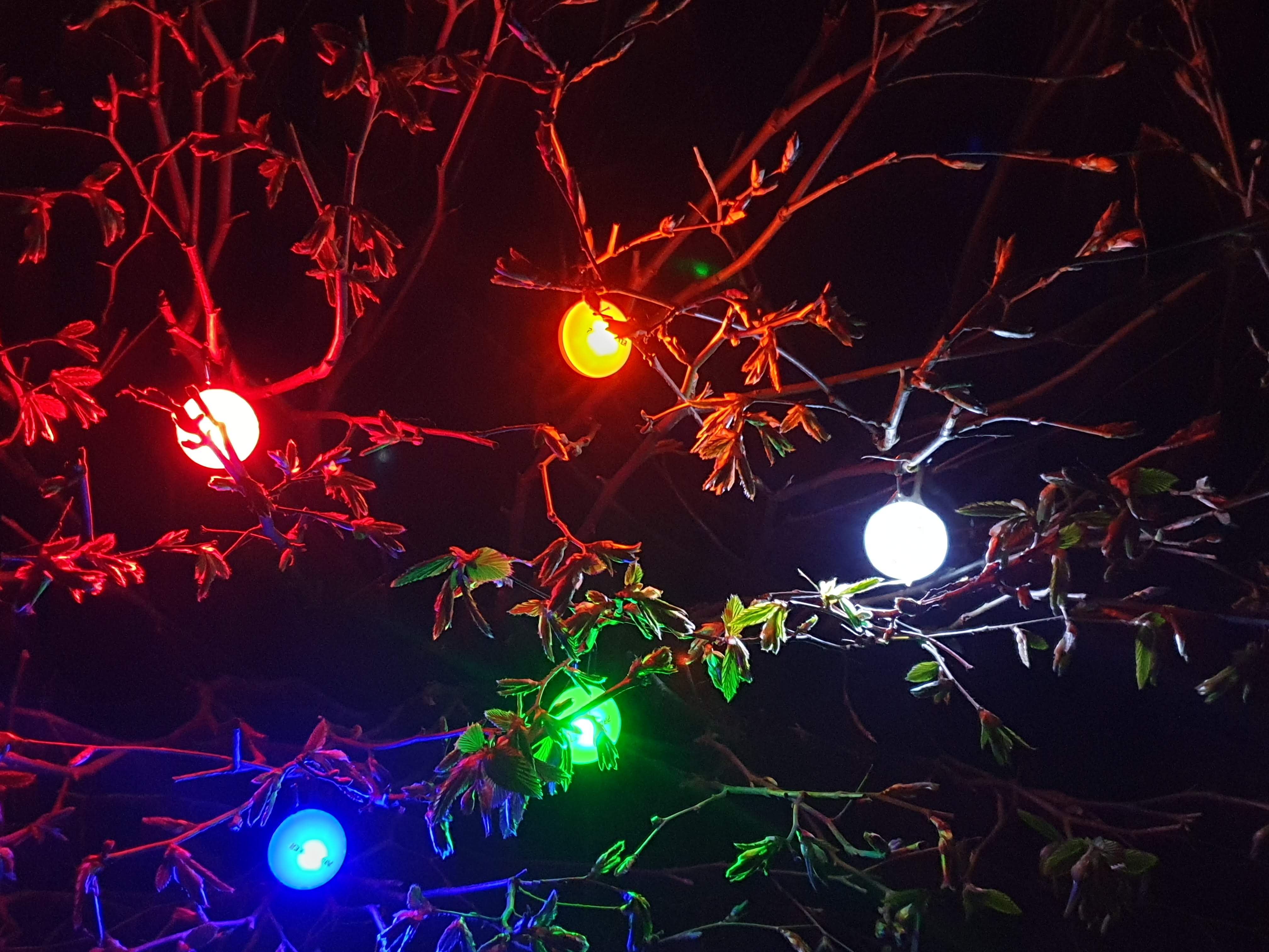 Clip on Safety Light for Dogs - SnowPaw Store - Pawtrekker - Active Dog Gear