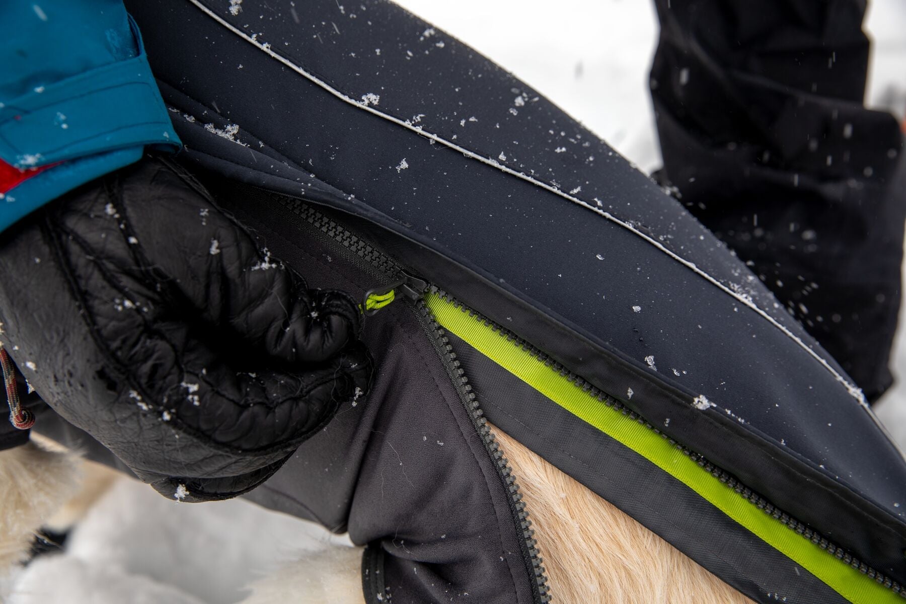 Cloud Chaser Soft Shell Dog Jacket (Ruffwear) - SnowPaw Store - Ruffwear - Active Dog Gear