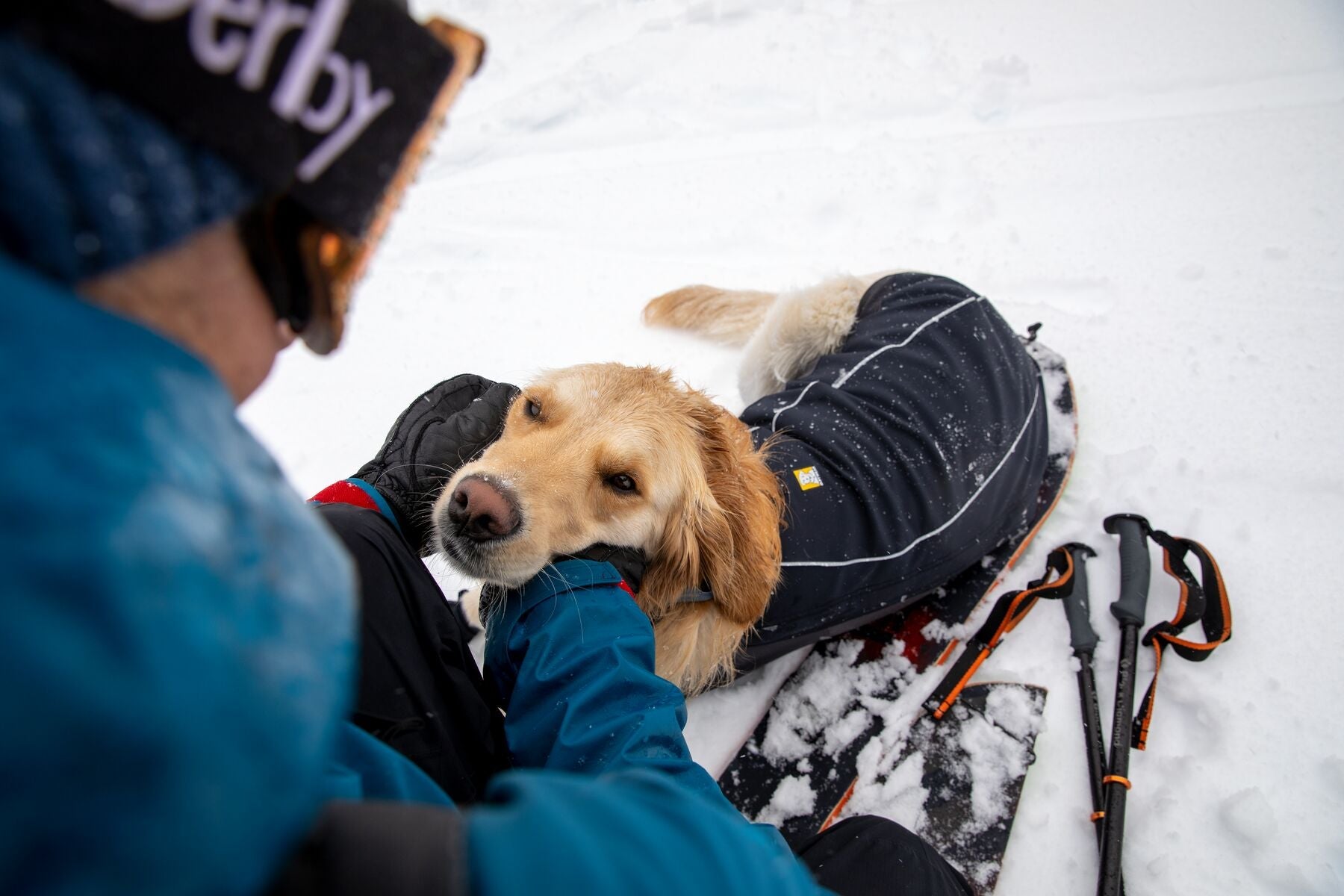 Cloud Chaser Soft Shell Dog Jacket (Ruffwear) - SnowPaw Store - Ruffwear - Active Dog Gear