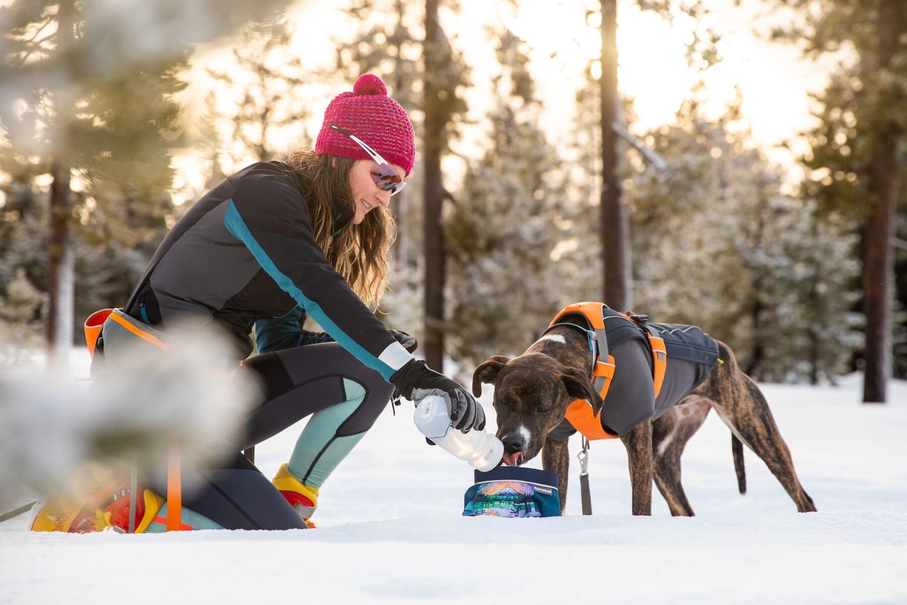 Cloud Chaser Soft Shell Dog Jacket (Ruffwear) - SnowPaw Store - Ruffwear - Active Dog Gear