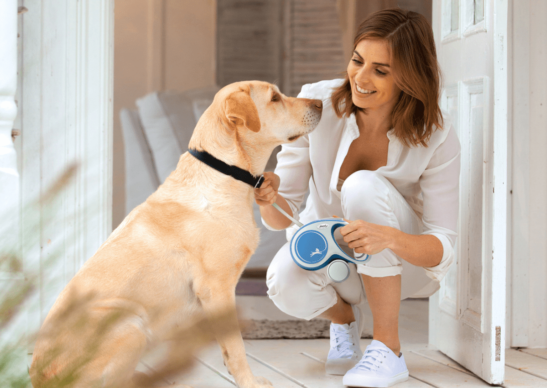 Comfort Tape Lead (Flexi) - SnowPaw Store - Flexi - Dog Collars, Leads, Belts