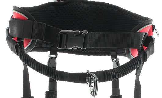 Comfort Trek Belt (i - Dog) - SnowPaw Store - i - Dog - Active Human Gear