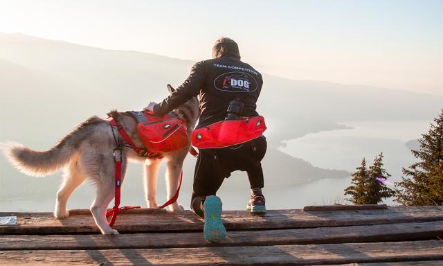 Comfort Trek Belt (i - Dog) - SnowPaw Store - i - Dog - Active Human Gear