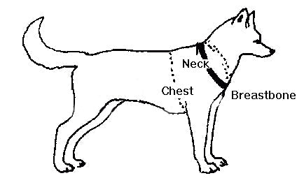 Custom Shoulder Harness (Nordkyn) - SnowPaw Store - Nordkyn - Dog Harness