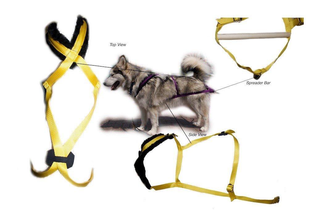 Custom Weight Pull Harness (Nordkyn) - SnowPaw Store - Nordkyn - Dog Harness