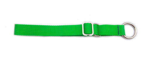 Semi-Slip Dog Collar - Fluorescent Green