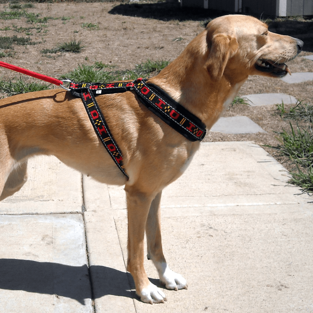 Distance Harness (Howling Dog Alaska) - SnowPaw Store - Howling Dog Alaska - Dog Harness