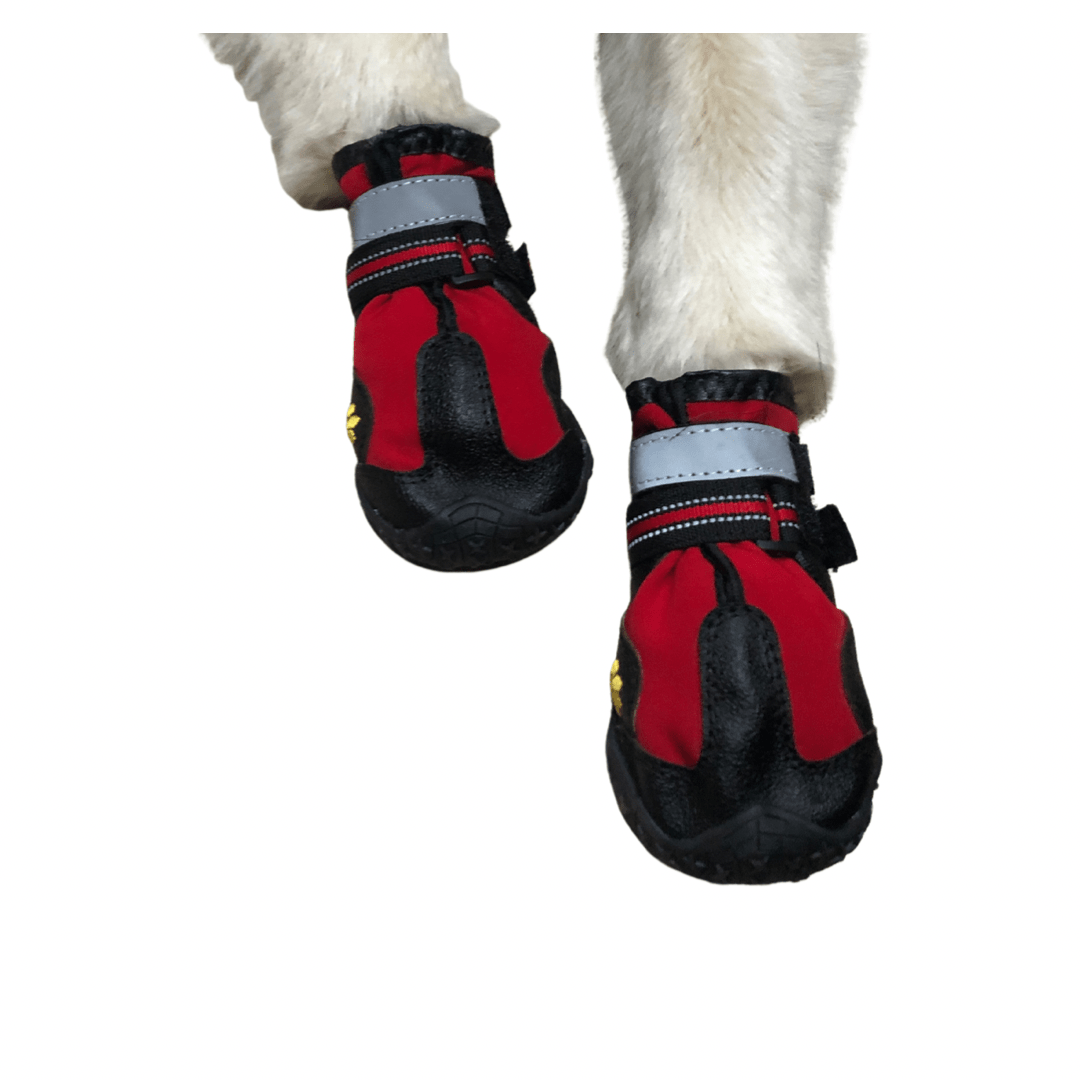 Dog Boots (Pawtrekker) - SnowPaw Store - Pawtrekker - Dog Boots