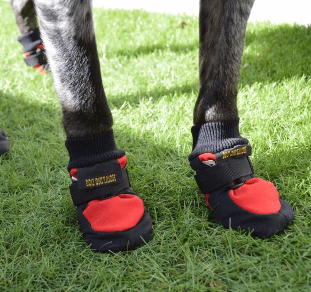 Dog Boots - Protector Set of 4 (Howling Dog Alaska) - SnowPaw Store - Howling Dog Alaska - Active Dog Gear